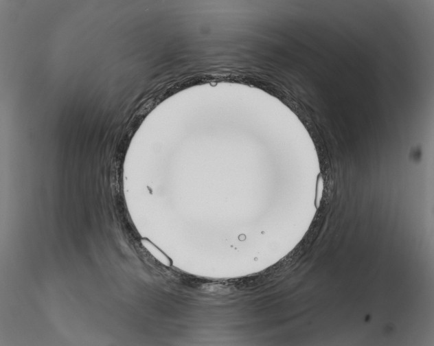 X0000115200272200912091141