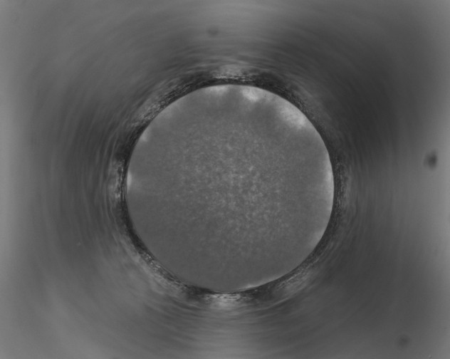 X0000115200273200912091141