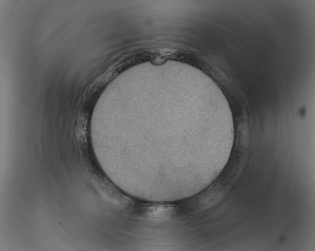 X0000115200274200912091141