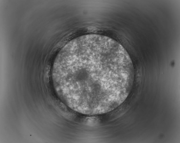 X0000115200275200912091141