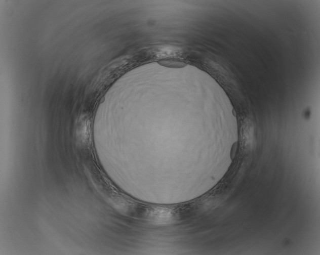 X0000115200276200912091141