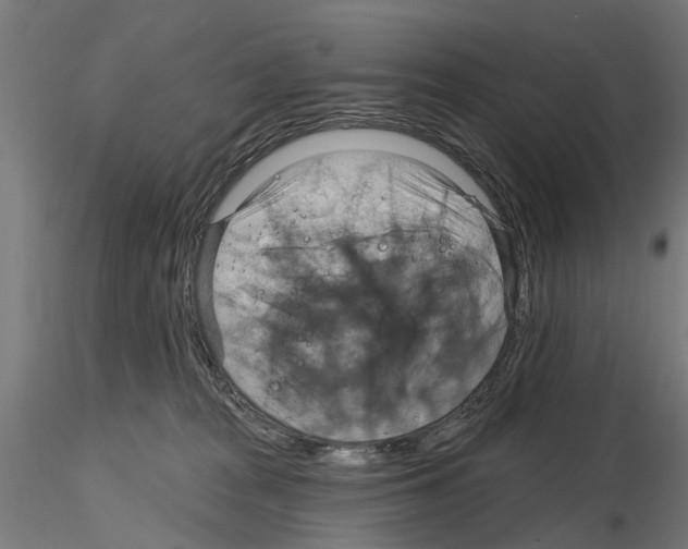 X0000115200277200912091142