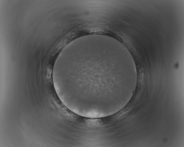 X0000115200281200912091142