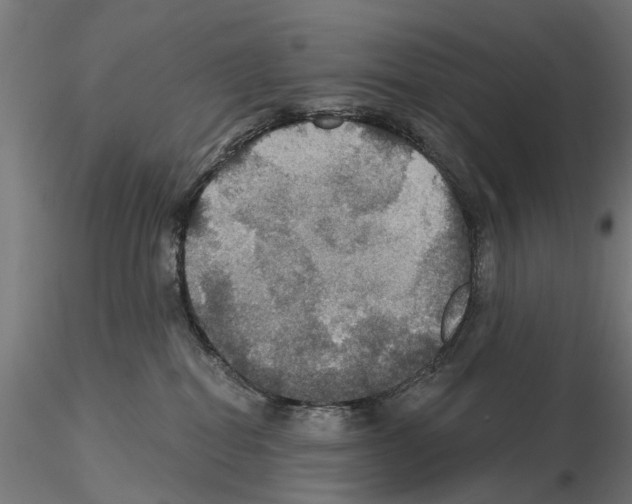 X0000115200282200912091142