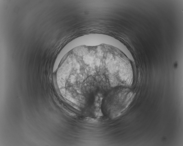 X0000115200285200912091142