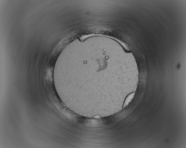 X0000115200286200912091142