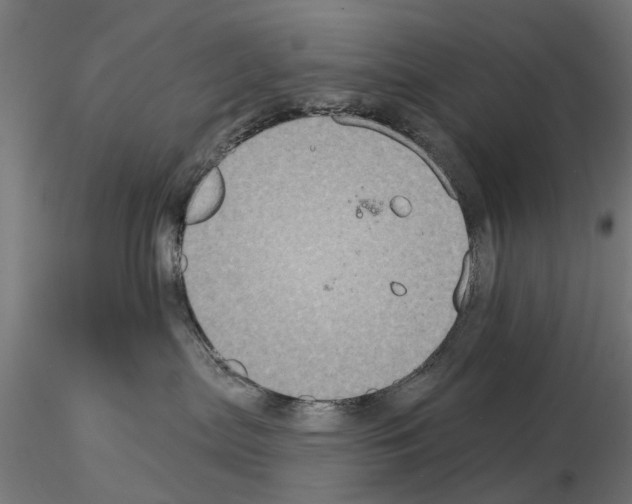 X0000115200287200912091142