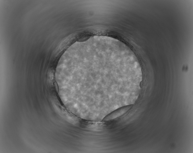 X0000115200288200912091142