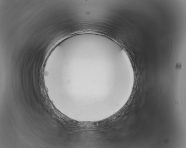 X0000115200289200912091141