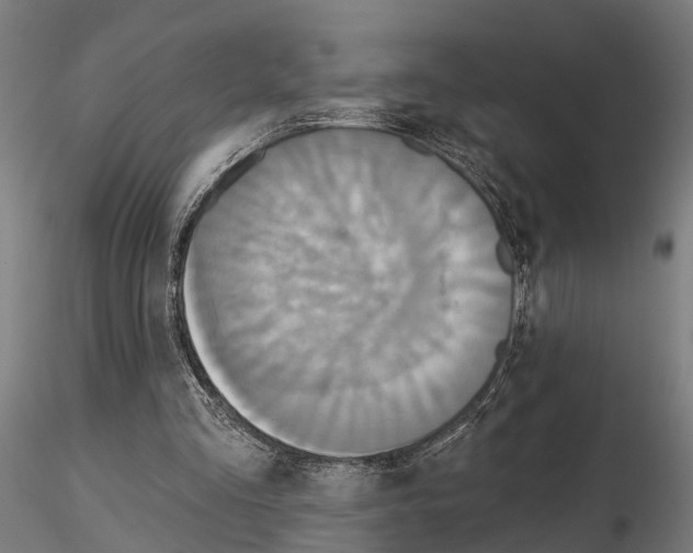 X0000115200293200912091141