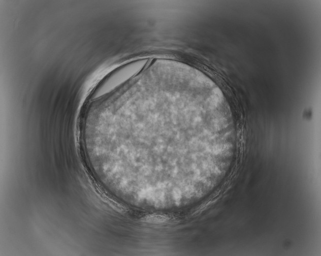 X0000115200294200912091141