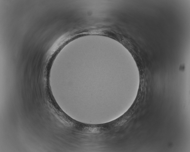 X0000115200295200912091141