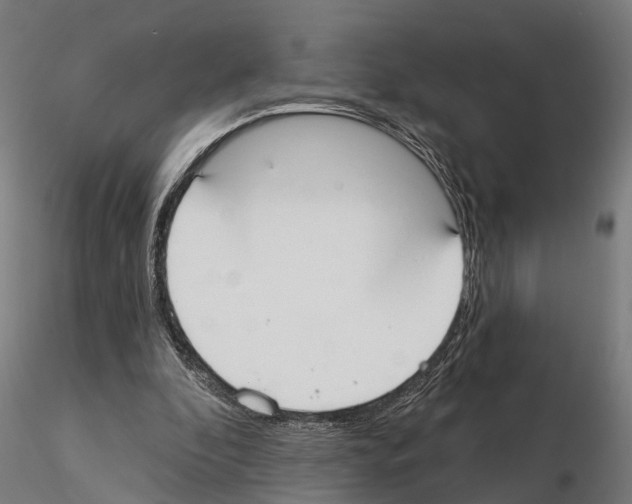 X0000115200296200912091141