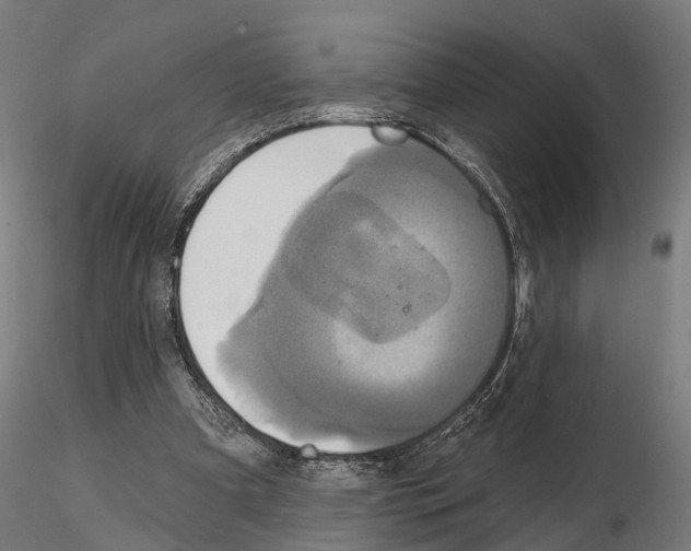 X0000115200297200912091141