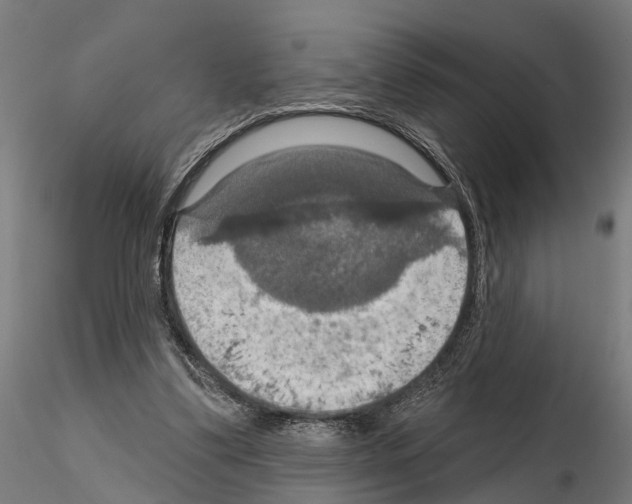 X0000115200299200912091141