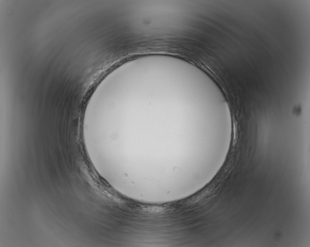 X0000115200301200912091141