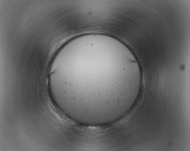 X0000115200302200912091141