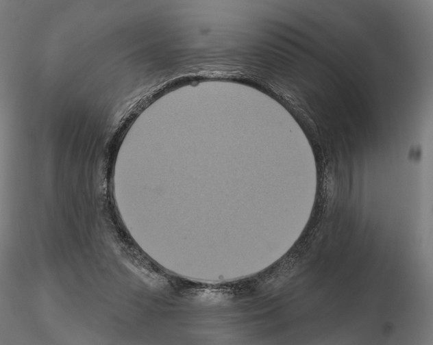 X0000115200303200912091141