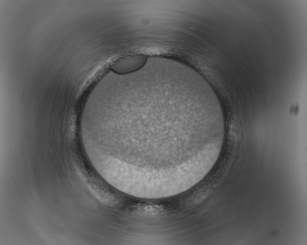 X0000115200304200912091141