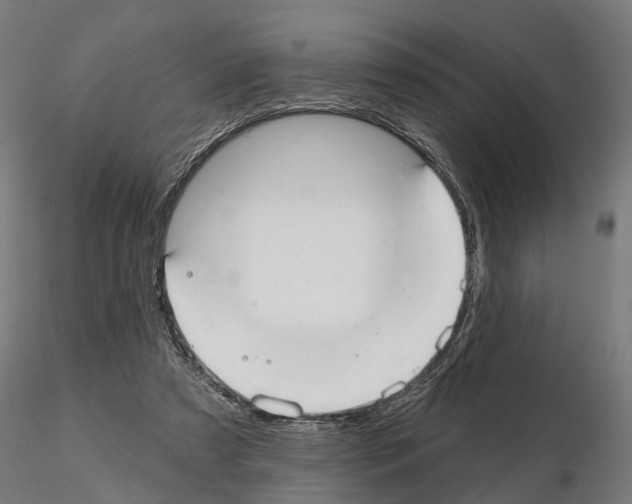 X0000115200305200912091141