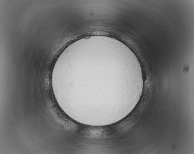 X0000115200306200912091141