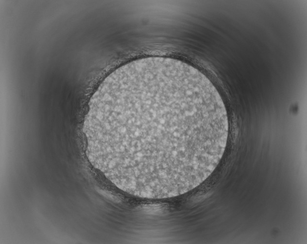 X0000115200307200912091141