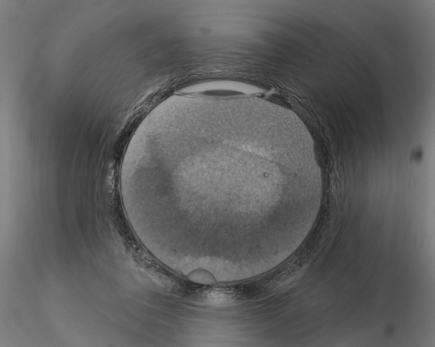 X0000115200308200912091141