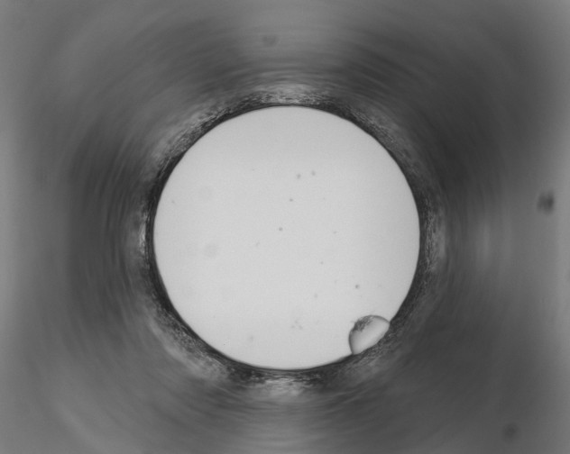 X0000115200310200912091141