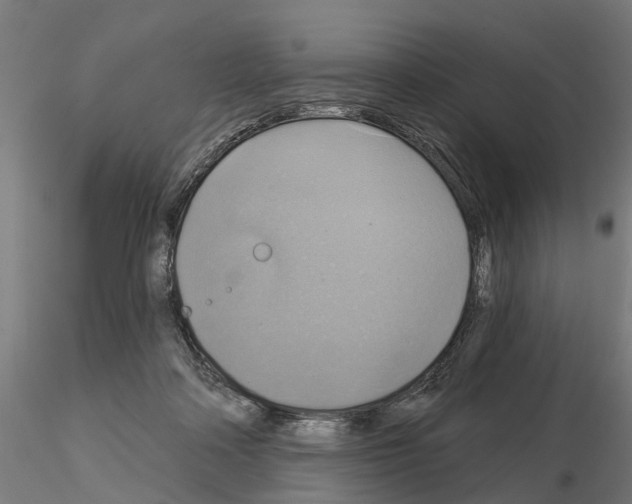 X0000115200314200912091140