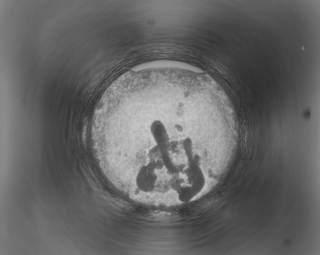 X0000115200315200912091140