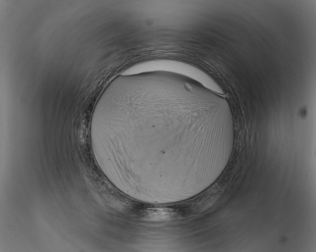 X0000115200316200912091140