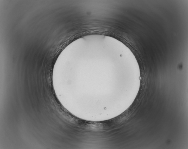 X0000115200317200912091140