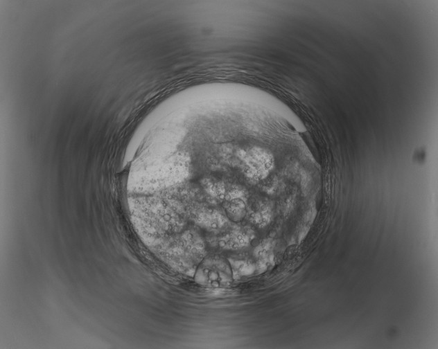 X0000115200319200912091140