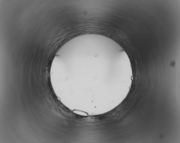 X0000115200320200912091140