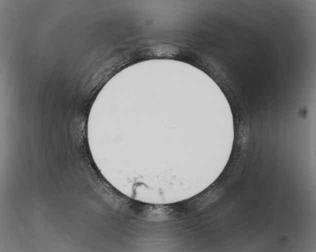 X0000115200321200912091140