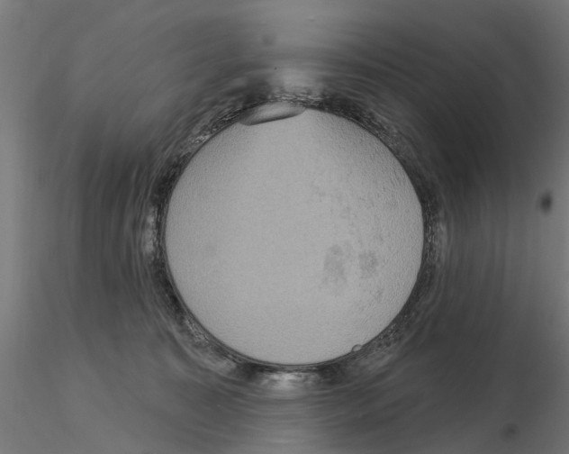 X0000115200323200912091140