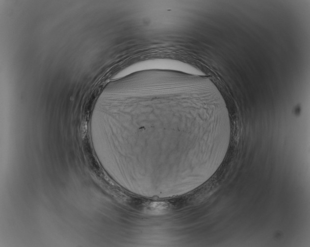 X0000115200324200912091140