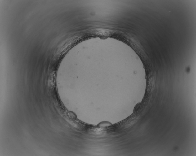 X0000115200325200912091140