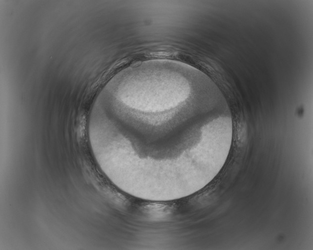 X0000115200326200912091140