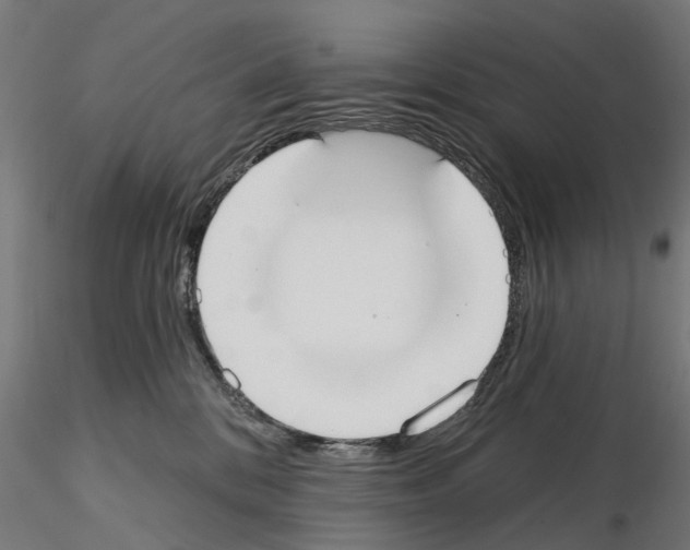 X0000115200328200912091140