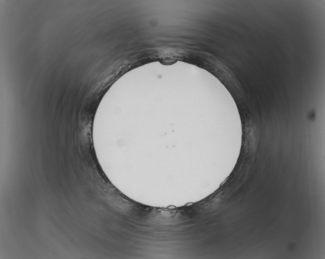 X0000115200329200912091140