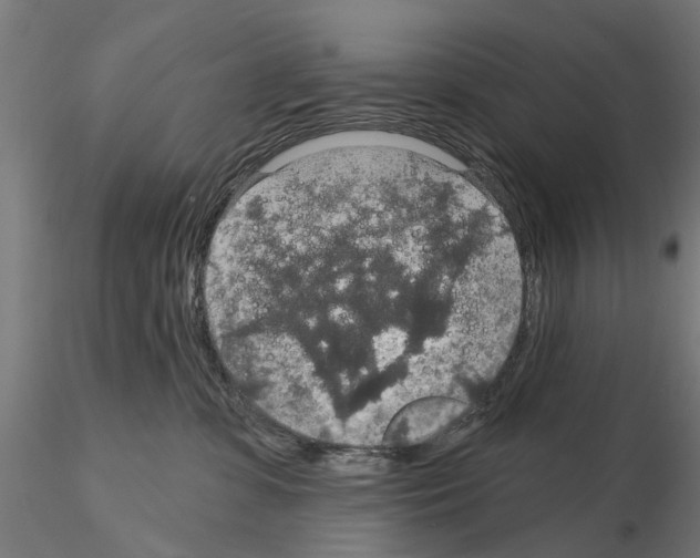 X0000115200331200912091140