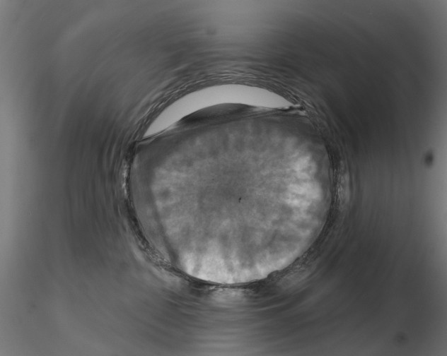 X0000115200332200912091140