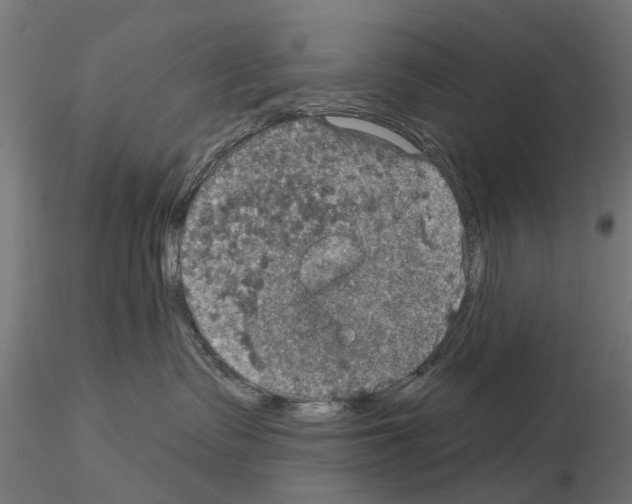 X0000115200335200912091140