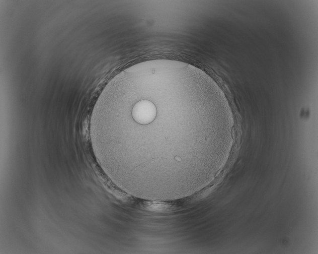 X0000115200336200912091140