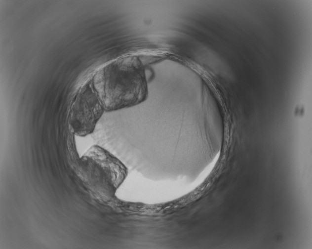 X0000115200337200912091140