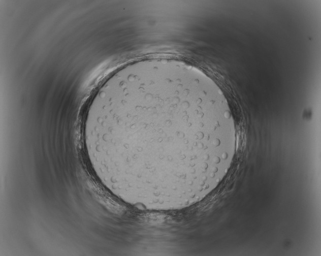 X0000115200339200912091140