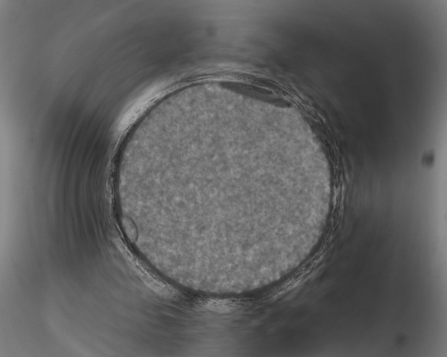 X0000115200341200912091140