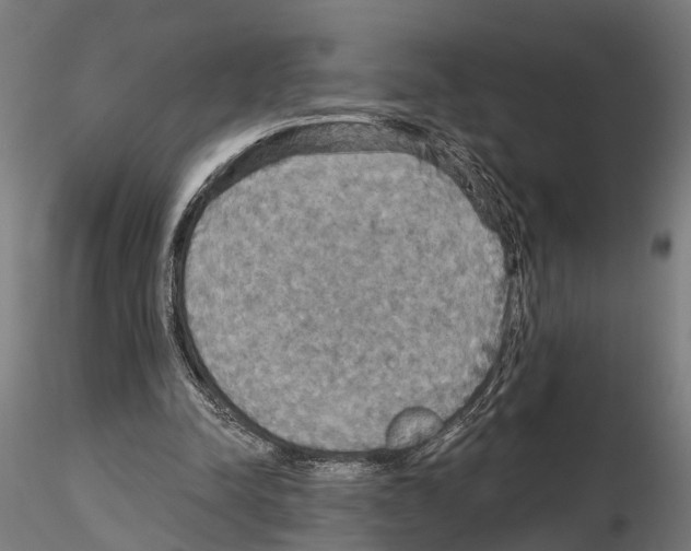 X0000115200342200912091140