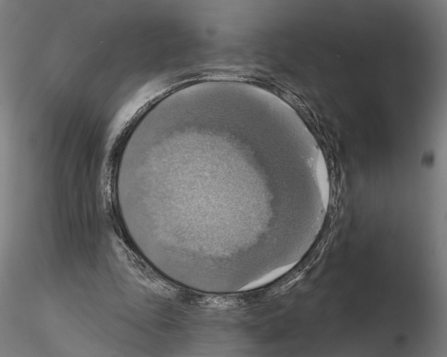 X0000115200343200912091140